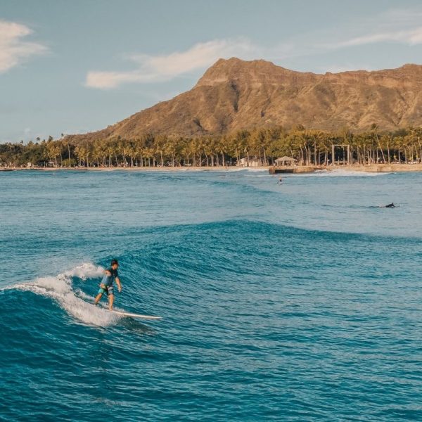 תמונה של WhatsApp‏ 2025-07-27 בשעה 17.01.18_9690c780